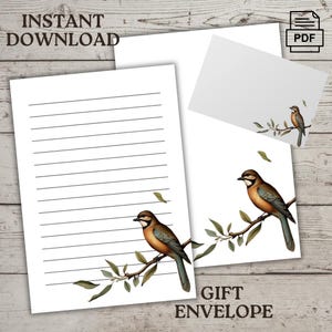 Carta intestata e busta stampabili con illustrazioni di uccelli - File PDF formato USA/A4, download digitale, PDF elegante con pagine a righe e vuote