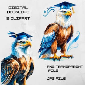 Águia, boné de faculdade, formatura - Conjunto de clipart de alta resolução - PNG e JPG, para impressão e artesanato - Ilustração, 3375 × 3375 pixels