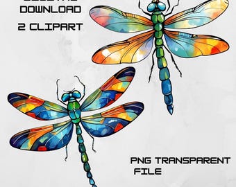 Colorful Dragonfly Clipart: River Insect Design (PNG, JPG Digital Download)