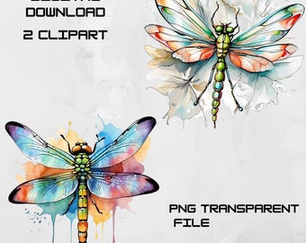 Watercolor Dragonfly Clipart: Colorful PNG & JPG (Digital Download)