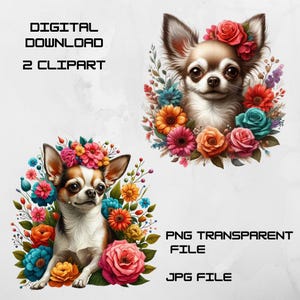 Floral Chihuahua art Clipart Set - 2 Unique Digital Downloads - PNG Transparent & JPG Files, 300 DPI - Perfect for Crafts, Prints