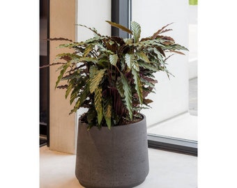 Round Rough Brown Planter Pot for Plants and Home Decor | Style 105