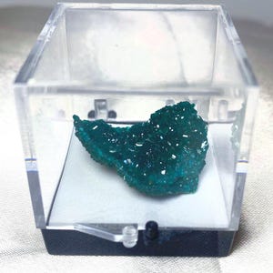 May include: A vibrant, teal-colored mineral specimen is displayed inside a clear, hinged acrylic case. The mineral has a crystalline structure and sits on a white base within the case. The case is set on a black base.
