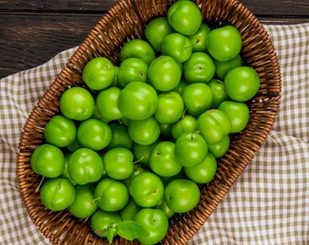 Producto más vendido: Ciruelas verdes frescas, la cosecha acaba de comenzar, las ciruelas verdes frescas se recolectan de la rama y se envían por encargo, 2026