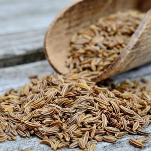 Organic Cumin Seasoning, Cumin Seasoning, Village Product Authentic Spices, Traditional and Gourmet Flavor Cumin Spices