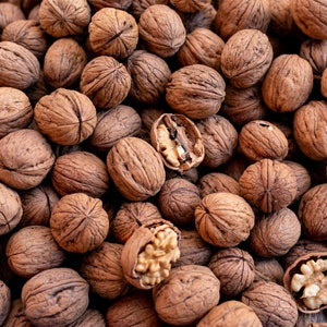 Walnuts in Shell, Dried Walnuts, Ready to Eat, Natural and Fresh Nuts from Our Own Garden, Fresh Walnuts in Shell for Snacks