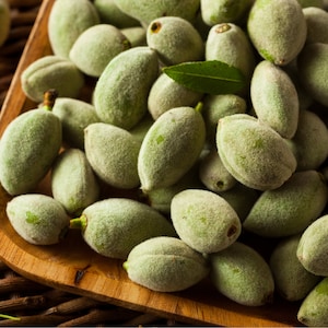 Organic Fresh Almond Fruit, Raw Green Almond, Unripe Fresh Almond Fruit,Picked from the Branch and Shipped upon Order,The Best Gardener Gift