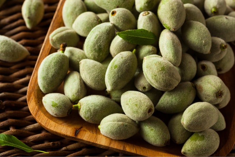 Organic Fresh Almond Fruit, Raw Green Almond, Unripe Fresh Almond Fruit,Picked from the Branch and Shipped upon Order,The Best Gardener Gift