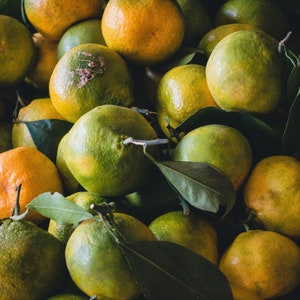Fresh Mandarin from Our Organic Garden, Newly Harvested Mandarin Fruit,Freshly Picked and Shipped Upon Order,Fresh Tangerine from the Branch