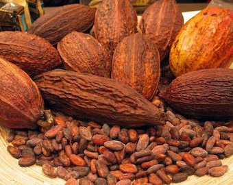 Poudre de cacao cru biologique, poudre de cacao cru spéciale dans sa forme la plus naturelle, ne contient pas d'additifs ni de conservateurs, cacao cru biologique