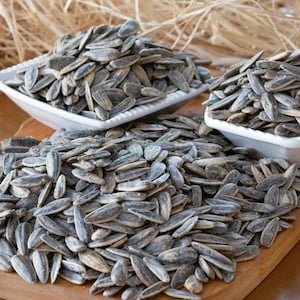 Dakota Sunflower Seeds, Salted,Unsalted,Raw or Roasted Dakota Seeds,Ready to Eat,Natural and Fresh Nuts from Our Own Garden,Fresh Snack Nuts