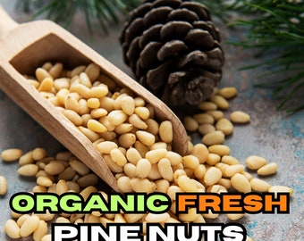 Organic Fresh Pine Nuts, Pure Pine Nuts, Village Product Authentic Spices, Traditional and Gourmet Flavor Fresh Pine Nuts - Best Quality