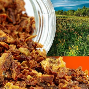 Organic Raw Propolis, Unprocessed Raw Propolis, Village Product Authentic Foods, Healing Depot Natural Raw Propolis, Pure and Unprocessed