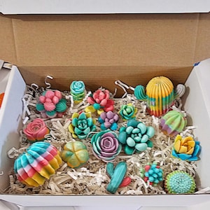Stunning Succulent Soap Box