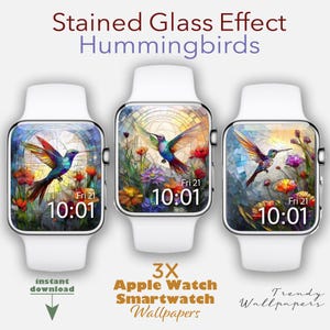 Sfondo Apple Watch, sfondi estetici Hummingbird, quadrante in vetro colorato, sfondo Smartwatch, sfondo astratto, vetro colorato