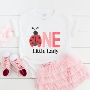 May include: White t-shirt with a ladybug graphic and the text "ONE Little Lady" in pink and black. A pink tulle skirt and pink sneakers are also in the image, suggesting a first birthday outfit.