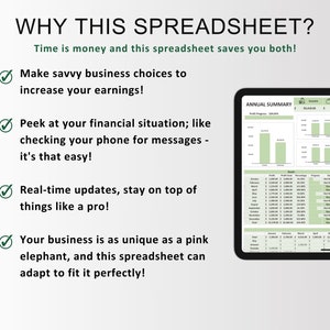 May include: A green and white spreadsheet with a checkmark next to each of the four benefits of using the spreadsheet. The benefits are: Make savvy business choices to increase your earnings, Peek at your financial situation; like checking your phone for messages - it's that easy!, Real-time updates, stay on top of things like a pro!, Your business is as unique as a pink elephant, and this spreadsheet can adapt to fit it perfectly! The spreadsheet shows a graph with the title "Annual Summary".