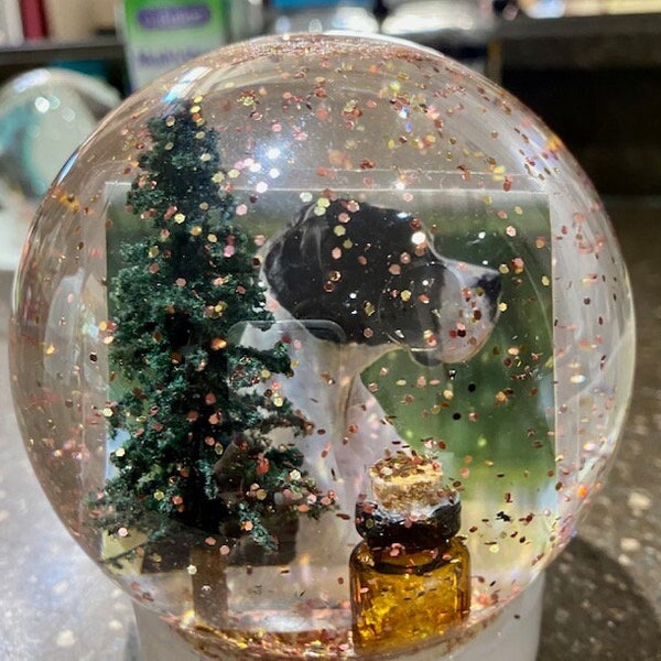 Custom Snow Globe Etsy