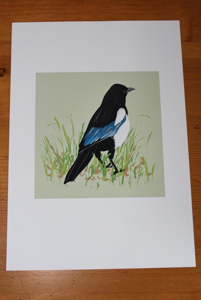 May include: A black and white magpie with blue wings standing in green grass. The bird is facing to the right and has a long tail.