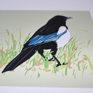 May include: A black and white magpie with blue wings stands in a field of green grass. The bird is facing to the right and has its head turned to the left.