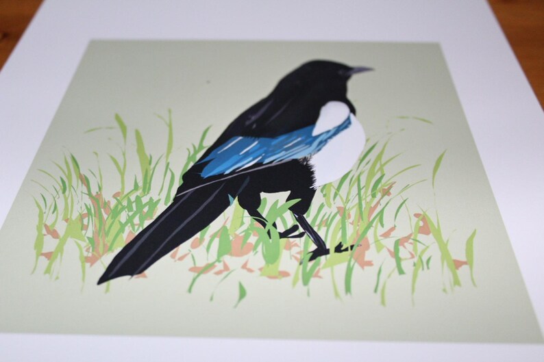 May include: A black and white magpie with blue wings stands in a field of green grass. The bird is facing to the right and has its head turned to the left.