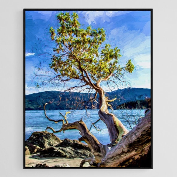 Pacific Madrone Tree Leaning Over the Waters of the San Juan Islands, Blue Green Wall Art, Island Tree Living Room Art, Nautical Home Decor