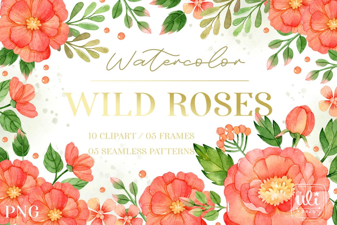 Watercolour Wild Roses Watercolor Wild Roses Clipart, Patterns, Frames PNG - Etsy