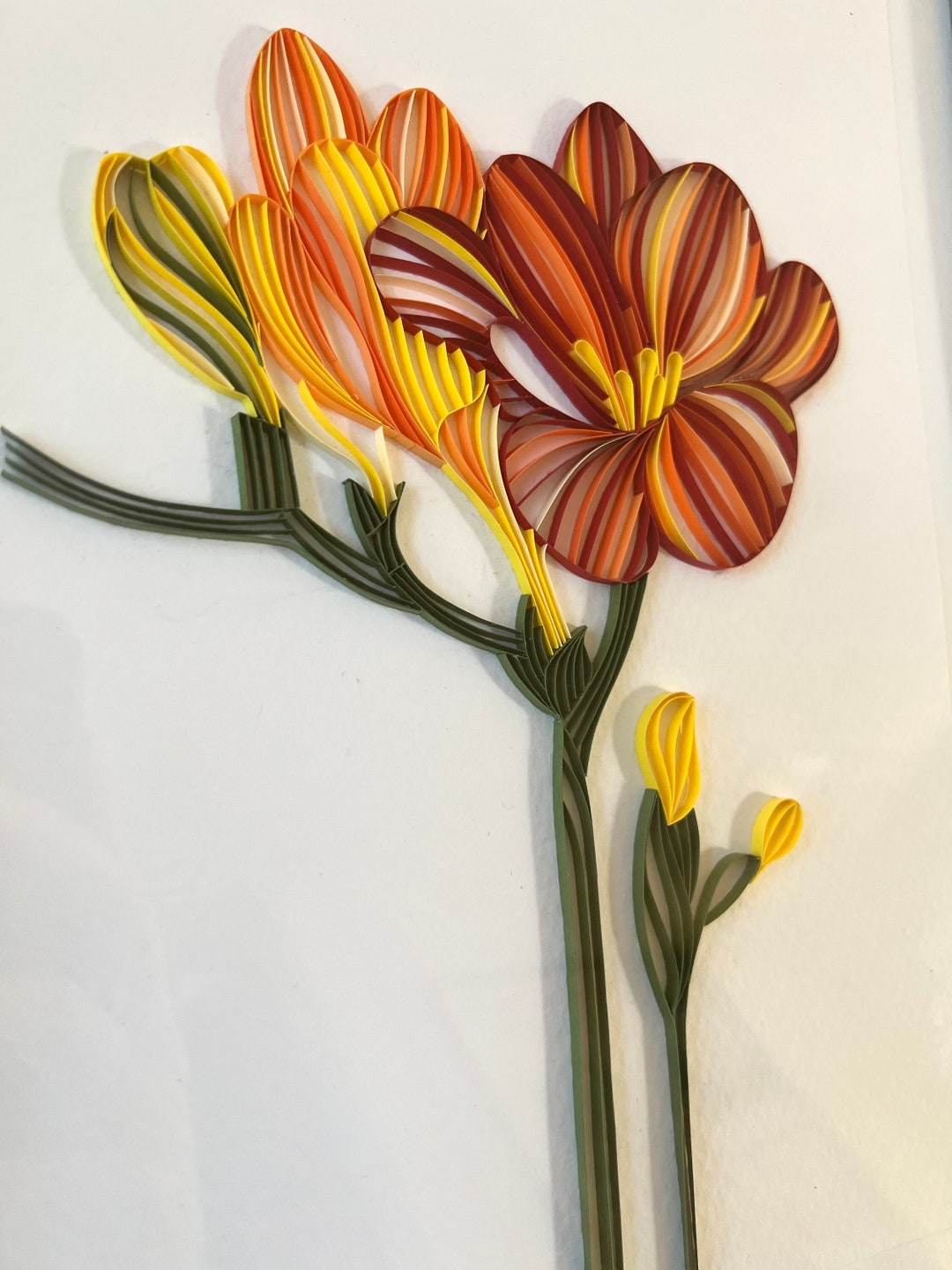 Quilled Flower Art 3D Paper Art Framed Quilled Flower Etsy