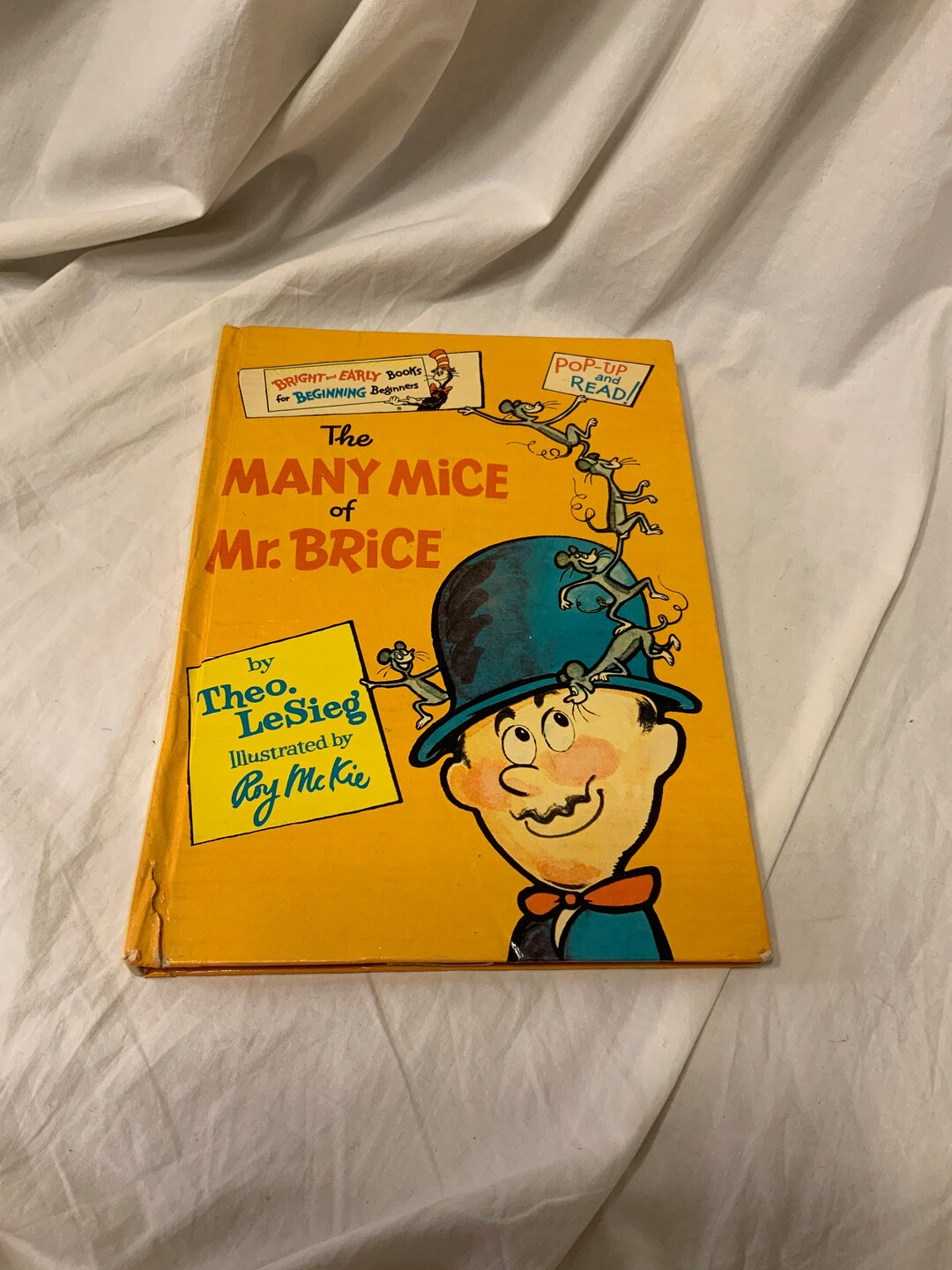 The Many Mice of Mr Brice by Theo Lesieg Dr Seuss Book 1970s Edition Etsy