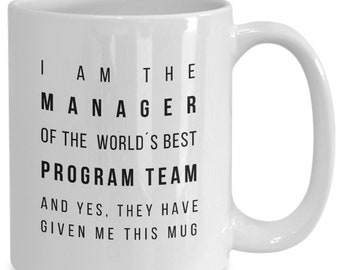 Program Manager Mug, Program Manager Gift, Funny Program Manager Gifts