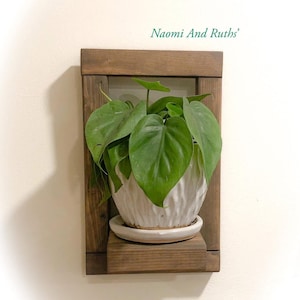 May include: A wooden wall-mounted plant shelf with a green plant in a white pot. The shelf is stained a dark brown color and has a simple design. The text "Naomi And Ruths'" is visible in the top right corner of the image.