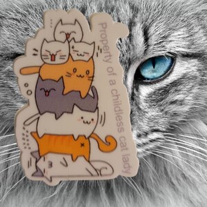 Property of a Childless Cat Lady sticker laptop waterfles 4,4 inch hoog