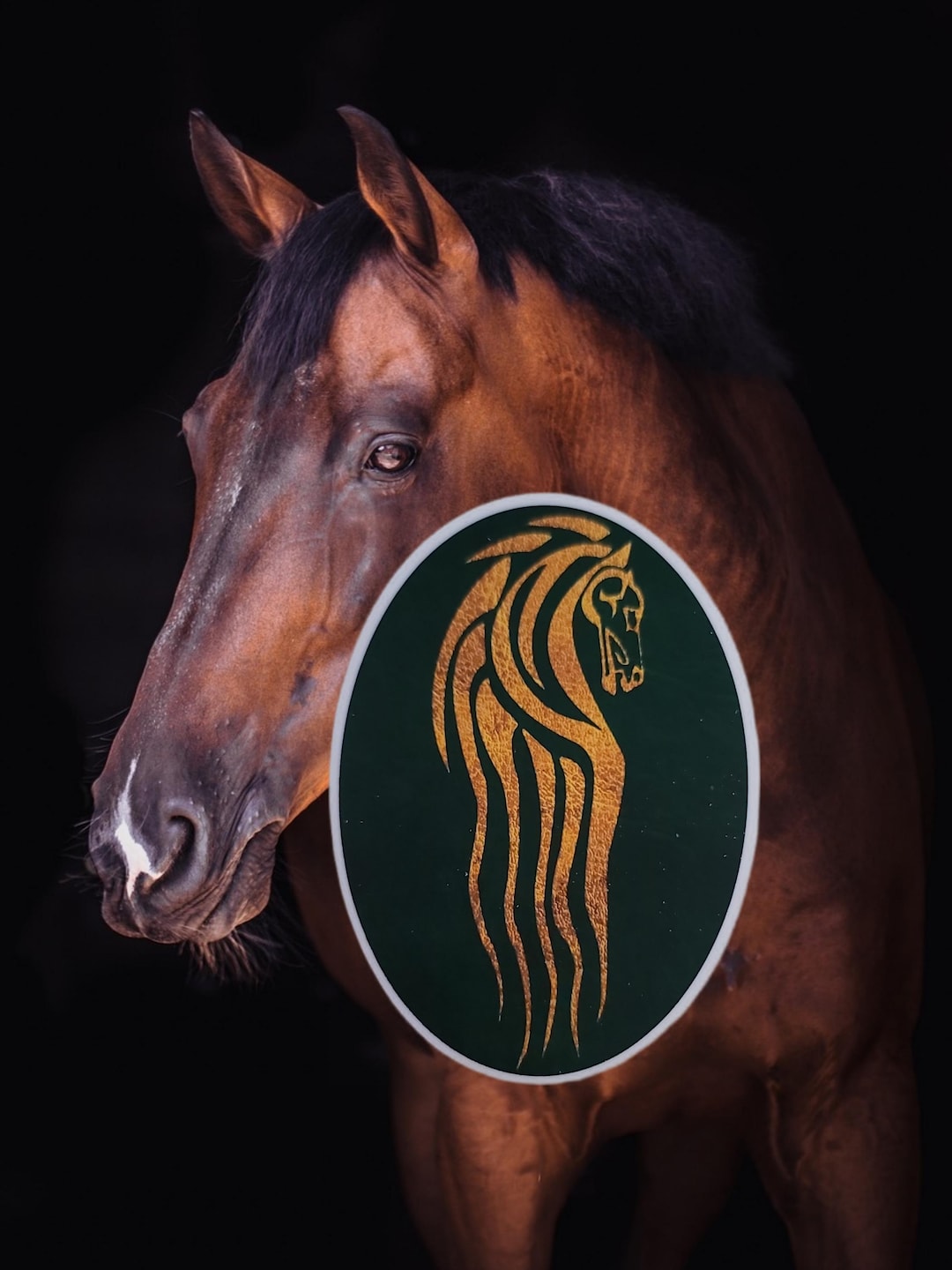 Seal of Rohan Lord of the Rings the Hobbit Inspired Fantasy Horse Vinyl ...