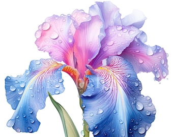 Spring Iris | Set of 10 | Clipart Bundle | 300 DPI JPEGs | 300 DPI Transparent PNGs | Digital Download | Free Commercial Use | Flower Art
