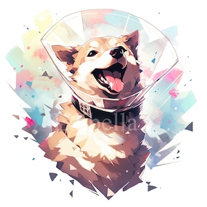 Hondenkegels | Set van 10 | Clipart-bundel | PNG's JPEG's van hoge kwaliteit | Digitaal downloaden | GRATIS COMMERCIEEL GEBRUIK | Grappige honden met medische kegels
