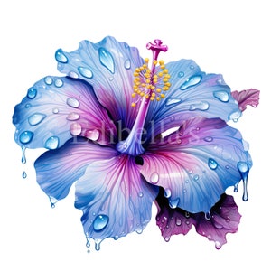 Frühling Hibiskus Blume | 10er Set | Clipart-Bundle | 300 DPI JPEGs | 300 DPI transparente PNGs | Digitaler Download | Kommerzielle Nutzung möglich