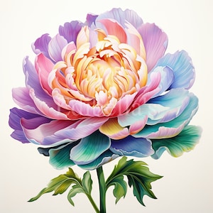 Peonía / Conjunto de 10 / Paquete de imágenes prediseñadas / JPEG de 300 DPI / PNG transparentes de 300 DPI / Descarga digital / Uso comercial gratuito / Arte digital de flores