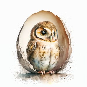 Baby Owl | Set of 10 | Clipart Bundle | High Quality JPEGs | Digital Download | Printable | FREE COMMERCIAL USE | Cute Easter Egg Hatchling