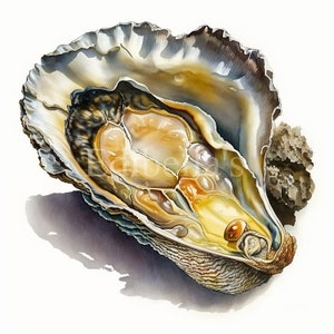 Oester | Set van 10 | Clipart-bundel | JPEG's van hoge kwaliteit | Transparante PNG's | Digitaal downloaden | Afdrukbare voedselkunst | GRATIS COMMERCIEEL GEBRUIK