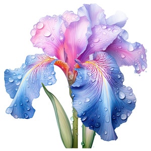 Spring Iris / Conjunto de 10 / Paquete de imágenes prediseñadas / JPEG de 300 DPI / PNG transparentes de 300 DPI / Descarga digital / Uso comercial gratuito / Arte floral