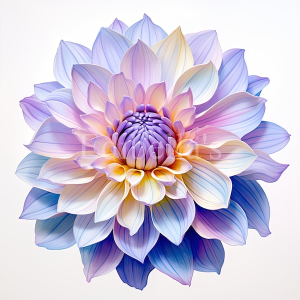 Dahlia | Set of 10 | Clipart Bundle | 300 DPI JPEGs | 300 DPI Transparent PNGs | Digital Download | Free Commercial Use | Flower Digital Art
