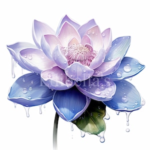 Lotus printanier | Lot de 10 | Lot de cliparts | 300 ppp JPEG | PNG transparents 300 DPI | Téléchargement numérique | Utilisation commerciale gratuite | Art floral