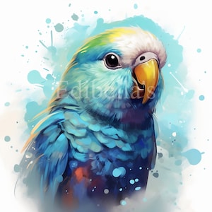Polly the Quaker Parrot | Set of 10 | Clipart Bundle | High Quality JPEGs | Digital Download | FREE COMMERCIAL USE | Cute Blue Monk Parakeet