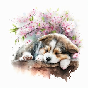 Puppy Sleeping Cherry Blossom | Set of 10 | Clipart Bundle | High Quality JPEGs | Digital Download | Printable | FREE COMMERCIAL USE | Dog