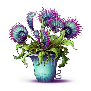 Venusvliegenvanger | Set van 10 | Clipart-bundel | 300 dpi JPEG's van hoge kwaliteit | 300 dpi transparante PNG's | Digitaal downloaden | GRATIS COMMERCIEEL GEBRUIK