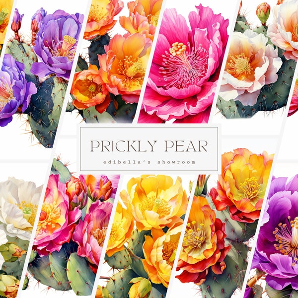 Prickly Pear Blossom | Set of 12 | Clipart Bundle | 300 DPI JPEGs | 300 DPI Transparent PNGs | Digital Download | Free Commercial Use