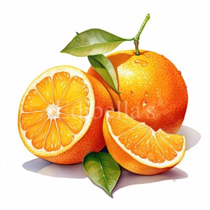 Oranje | Set van 10 | Clipartbundel | 300 DPI JPEG's en transparante PNG's | Digitale download | Gratis commercieel gebruik | Digitale fruitvoedselkunst