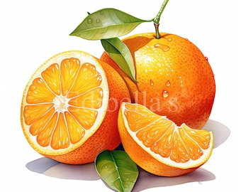 Orange | Set of 10 | Clipart Bundle | 300 DPI JPEGs and Transparent PNGs | Digital Download | Free Commercial Use | Digital Fruit Food Art