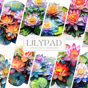 Lilypad / Conjunto de 12 / Paquete de imágenes prediseñadas / JPEG de 300 DPI / PNG transparentes de 300 DPI / Descarga digital / Uso comercial gratuito / Arte digital