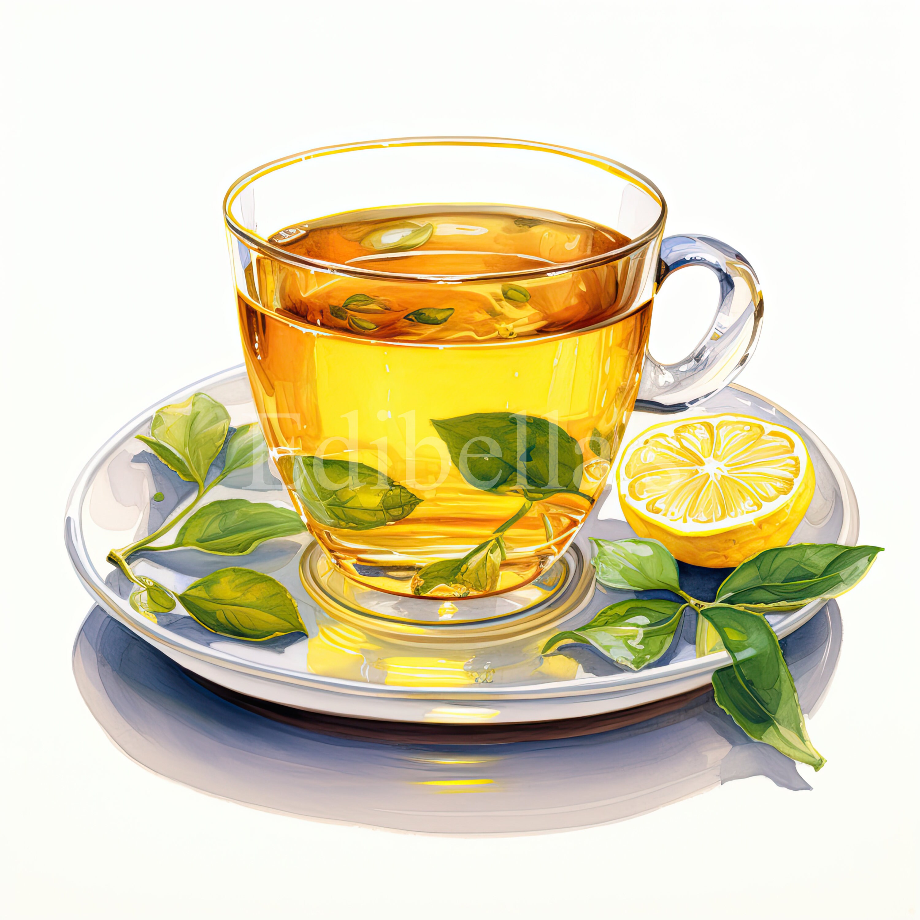 10 Types of Tea | Set of 10 | Clipart Bundle | High Quality 300 DPI ...